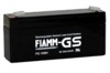 FIAMM () FG-10301