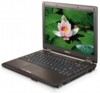   Samsung Q310-FA09 Grey/Brown T6400/2G/250G/DVD-SMulti/13.3  WXGA/WiFi/BT/cam/Vista Premium 